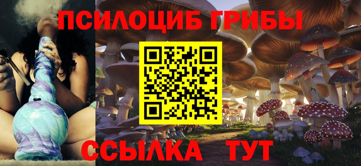 Псилоцибиновые грибы MAGIC MUSHROOMS Мичуринск