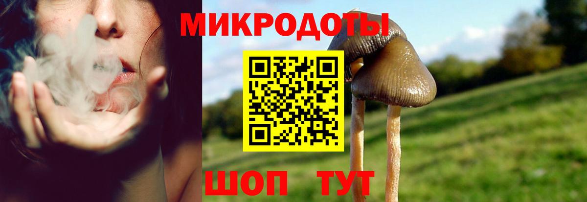 Мичуринск  Псилоцибиновые грибы мицелий  Вход с VPN 